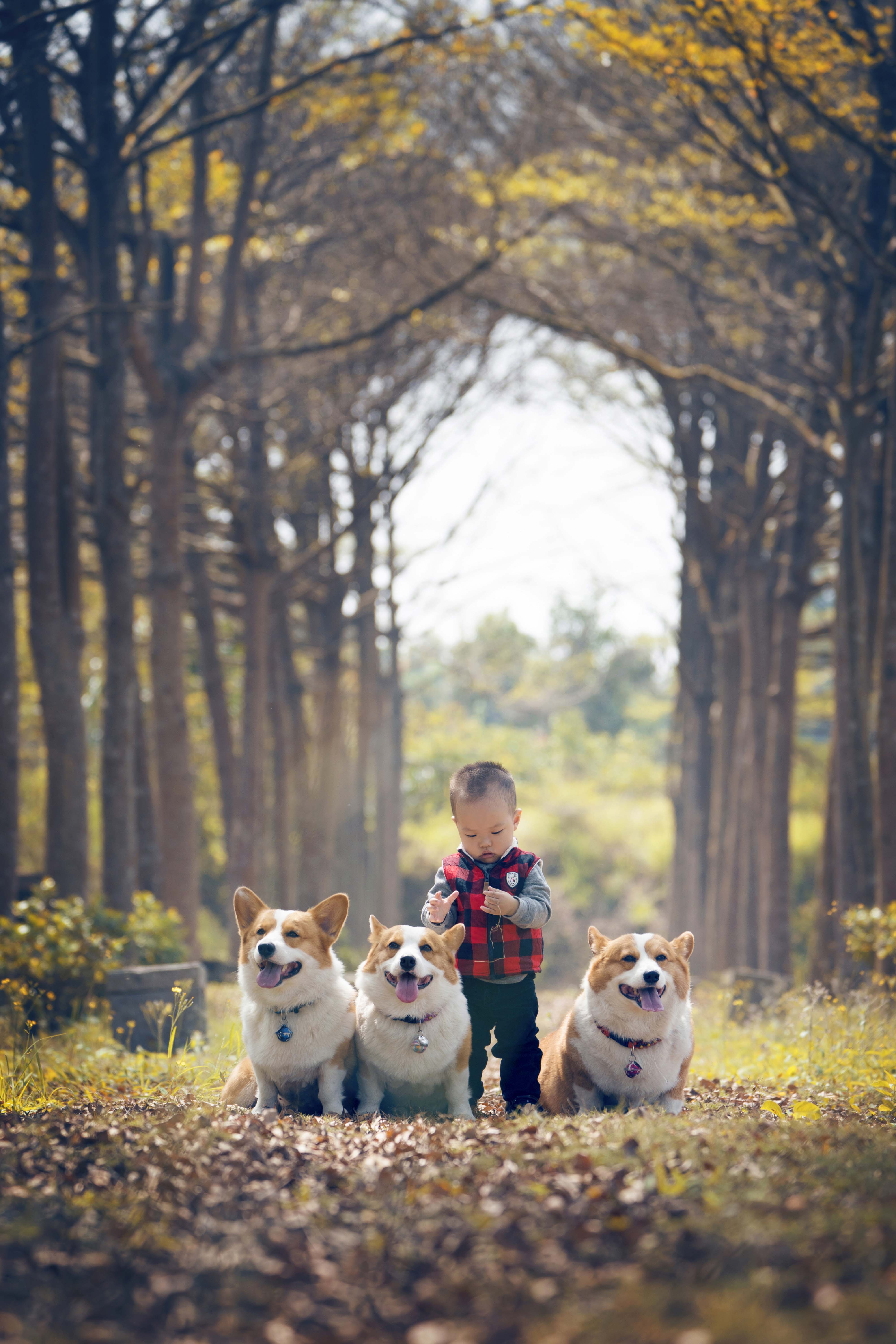 兒童寫真｜連環泡有小皮蛋